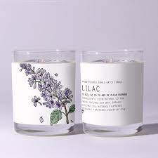 Lilac 紫丁香